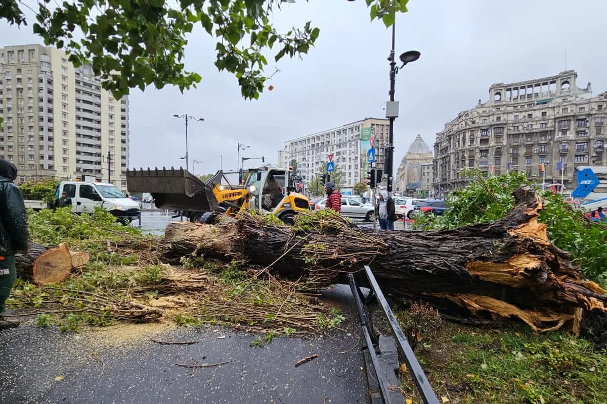 Furtuna devastatoare din august 2023