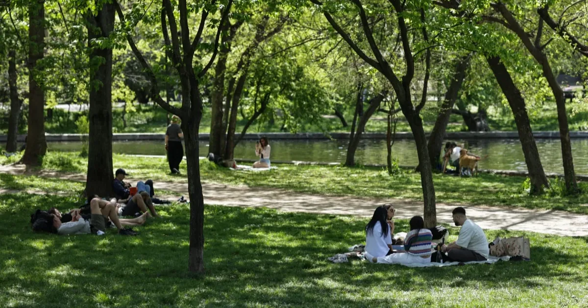 Ghid de vară — cum supraviețuiești caniculei